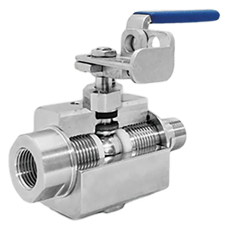 Instrumentation & Process Valves